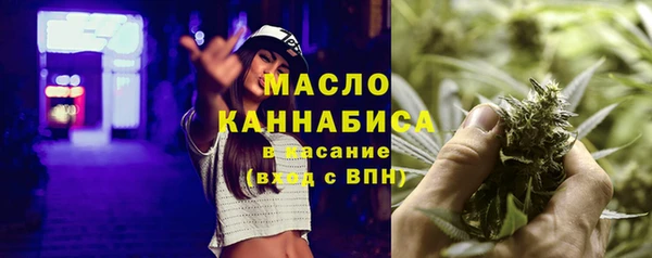 твердый Инсар