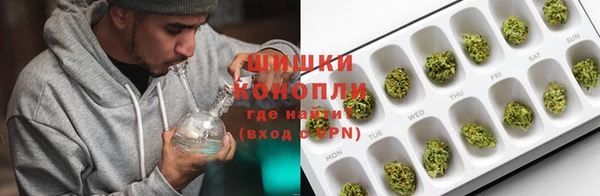 твердый Инсар
