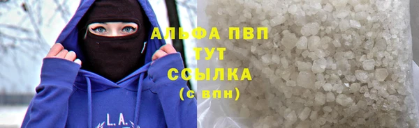 твердый Инсар