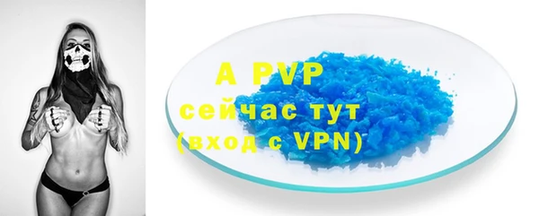 твердый Инсар