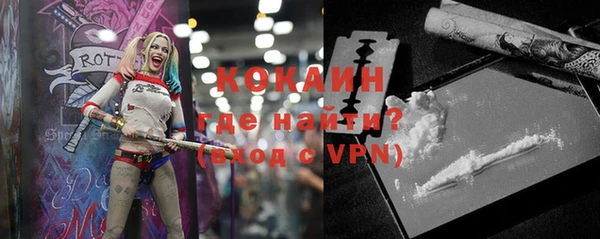 твердый Инсар