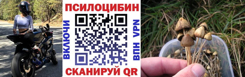 Псилоцибиновые грибы мухоморы  Купить где  Льгов 